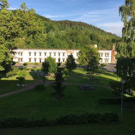 Apartmán Staré časy Svoboda nad Úpou Exterior foto